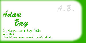 adam bay business card